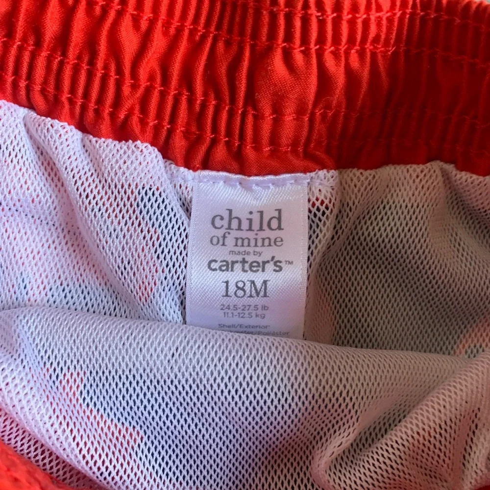 2 Pr. Boys Swim Trunks-Carter’s Crab Swim Trunks and Cat & Jack Pineappl…